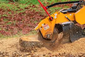 Best Lawn Renovation and Restoration  in Alpharetta, GA